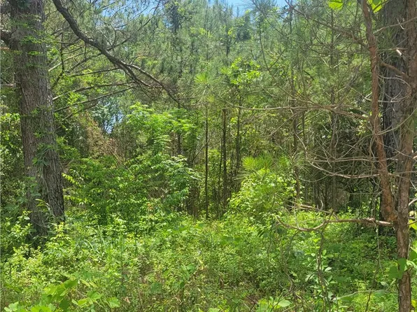 0 O'B Brown Rd, Auburn, AL 36830