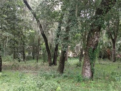 810 Amelia Dr, Fernandina Beach, FL, 32034