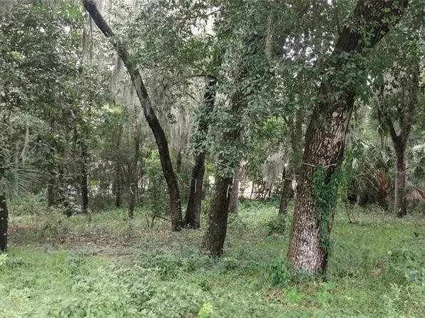 810 Amelia Dr, Fernandina Beach, FL 32034