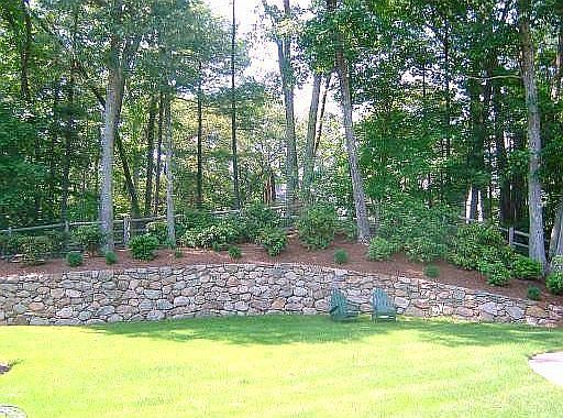 Back yard