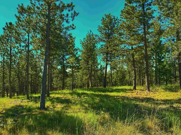 Tbd Remington Rd, Sundance, WY 82729