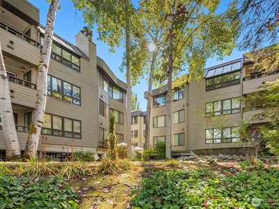 6300 Sand Point Way Way NE #111, Seattle, WA, 98115