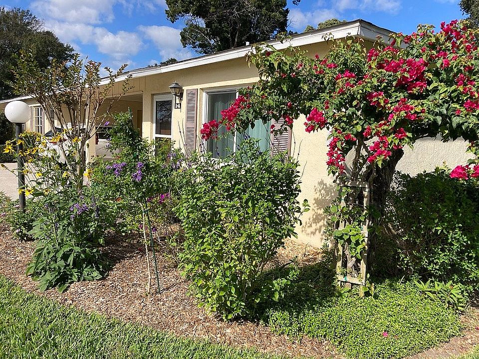 Butterfly garden in front