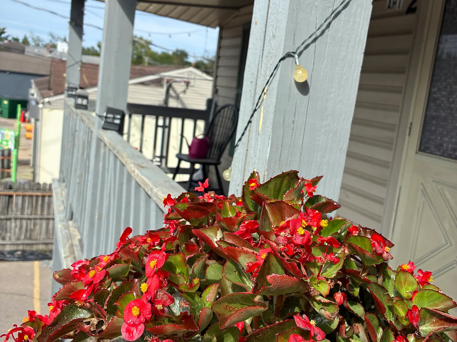 1 bed, 900 sqft, $1,050 — Photo 4
