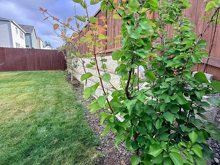2217 Trailside Dr NE — Photo 10