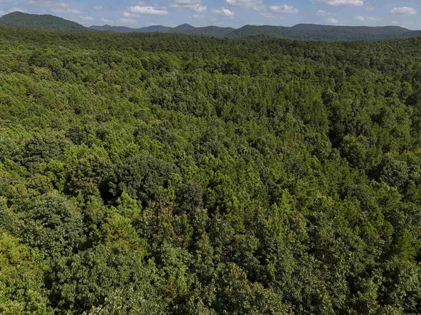 7 Polk Rd #78, Mena, AR 71953