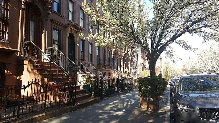 Rented by BLS Realty | media 11