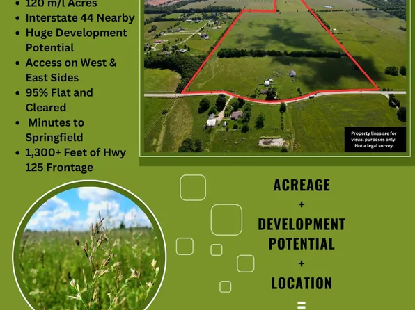 3246 N State Highway 125, Strafford, MO 65757