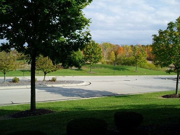 Scenic View