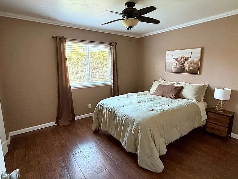 2583 Velia St — Photo 10