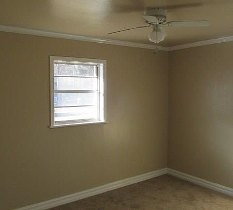 5th image of 1311 Roy Dr