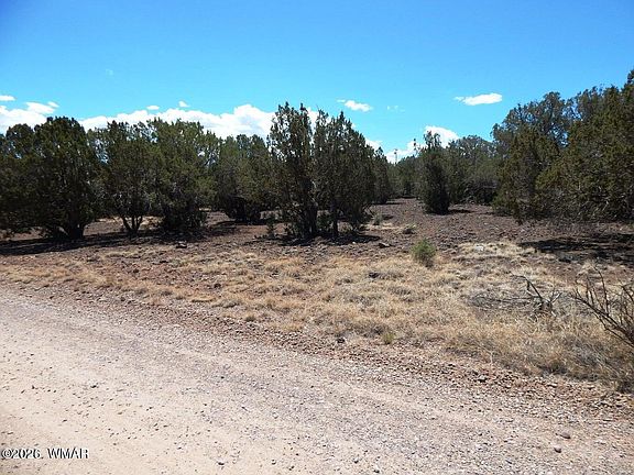 4th image of 8337 Navajo Dr