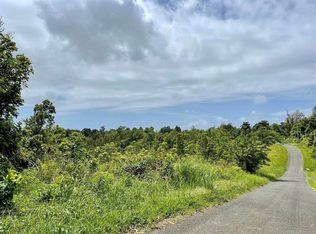 975 Ceiba Bo Riv, Ceiba, PR 00735