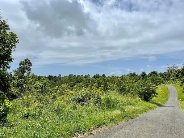 975 Ceiba Bo Riv, Ceiba, PR 00735