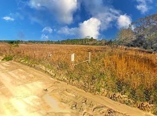 Thorn Bird Rd, Millwood, GA 31552