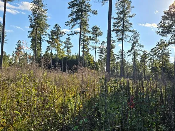 LOT 2 Christanna Hwy, Lawrenceville, VA 23868