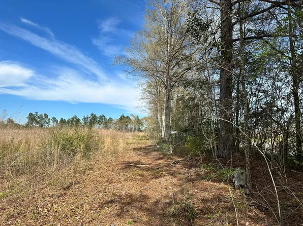 0 Pop Hill Rd, Poplarville, MS 39470