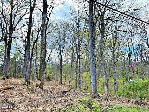 3rd image of Melton Hill Dr
