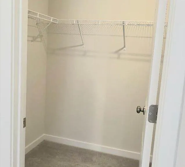 242 Talucci Dr — Photo 30