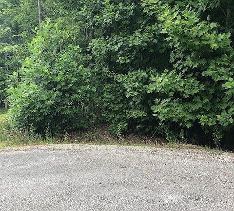 5th image of Kingsbridge Ln