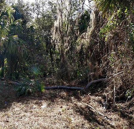 5th image of 17331 Hillsborough Blvd
