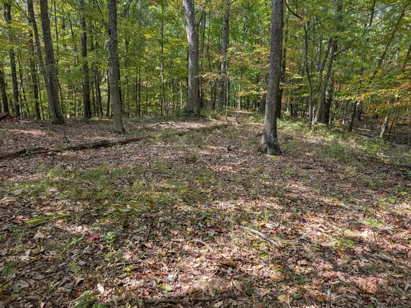 90 Overlook, Caldwell, WV 24925