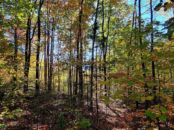 4th image of LOT 62 Dogwood Ct