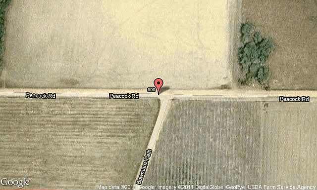 Map View