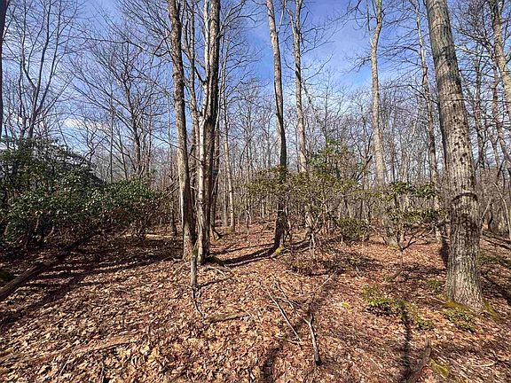 5th image of 2000 Kingwood Pike