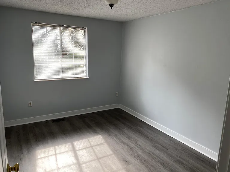 9732 Springfield Woods Cir — Photo 43