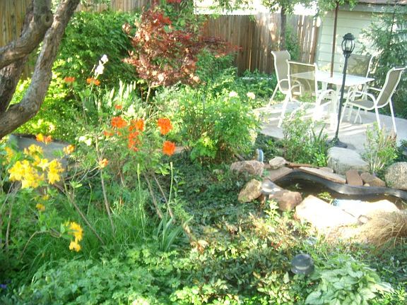 pond and fountain