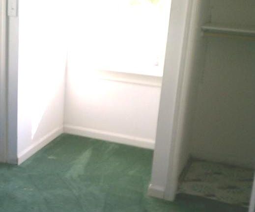 4th image of 1217 N Plum St