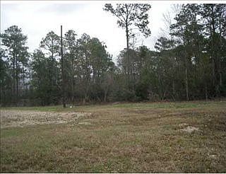 2nd image of 21500 Highway 21 N