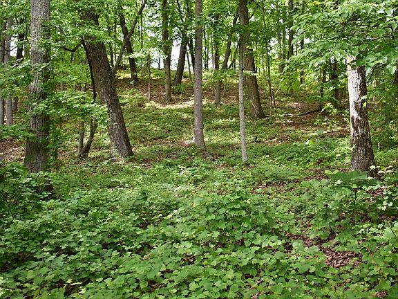 5th image of 450 Hidden Forest Trl