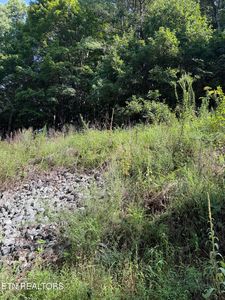 115 Hughes Hollow Rd, Philadelphia, TN, 37846