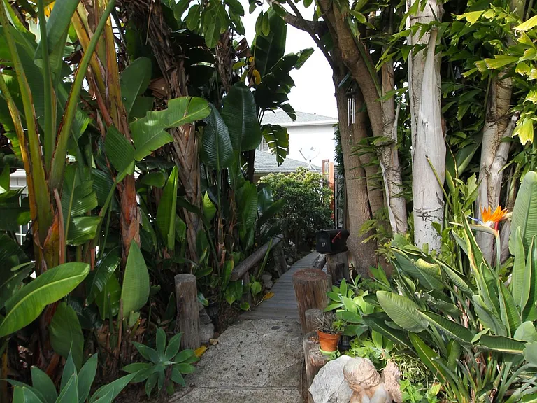 234 Avenida Rosa — Photo 22