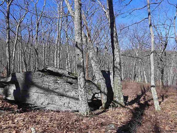 3rd image of Pitcairn Estates