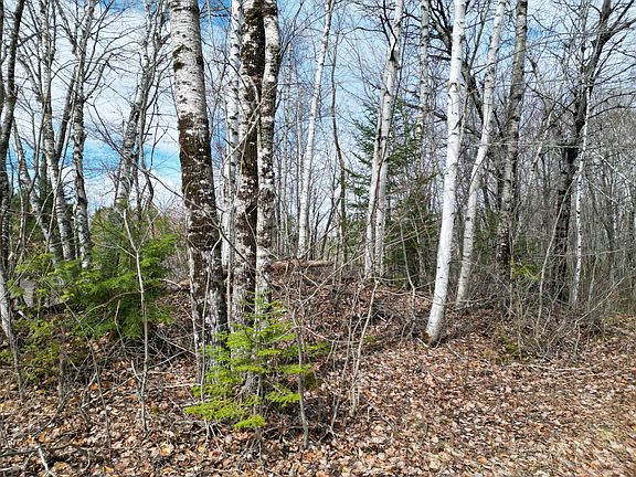 3rd image of Lot 46I-2 Merriman Road