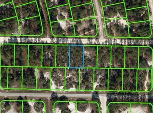 371 Blue Moon Ave, Lake Placid, FL 33852