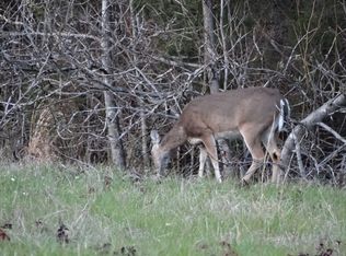 Tbd Hwy #155, Ore City, TX 75683