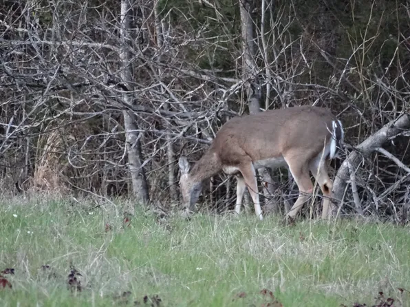 Tbd Hwy #155, Ore City, TX 75683