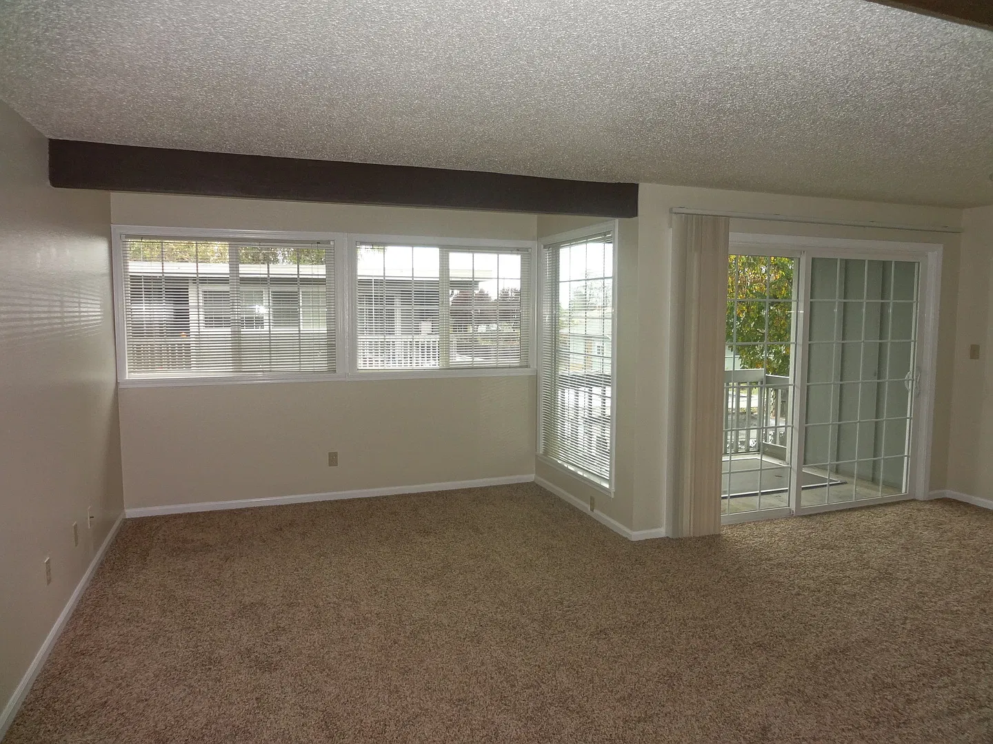 harris01 — Photo 2