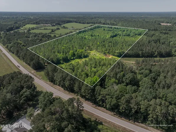 45 Acres Hwy #42, Bassfield, MS 39421