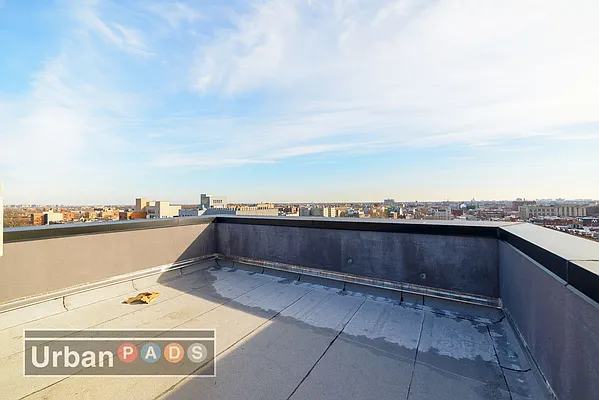 Rented by Urban Pads | media 28