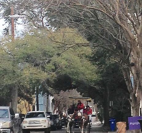 Carriage Tour on Rutledge