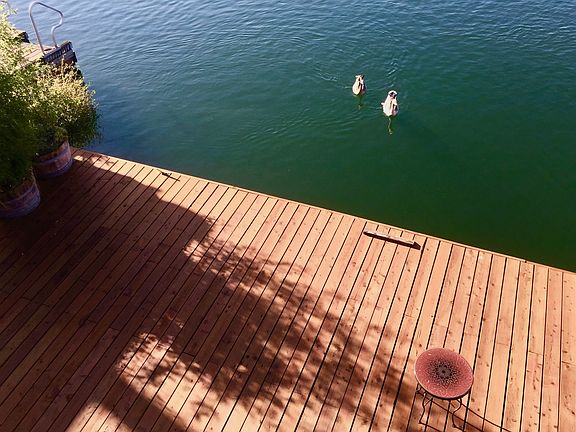 deck and ducks