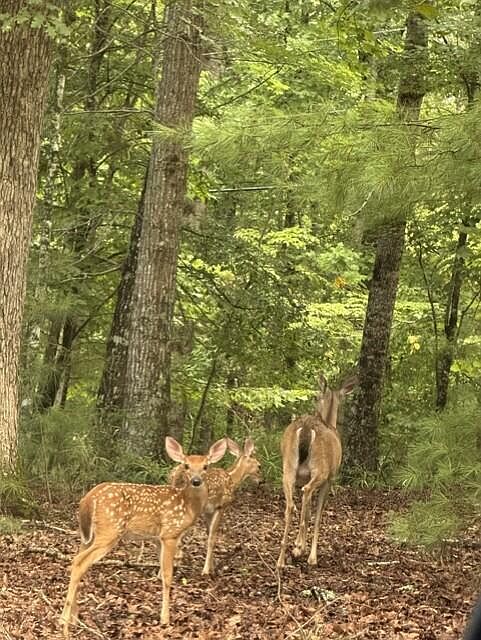 1st image of 0 Oneida Cir Lot 870
