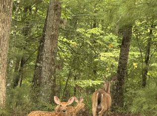 0 Oneida Cir Lot 870, Ellijay, GA 30540
