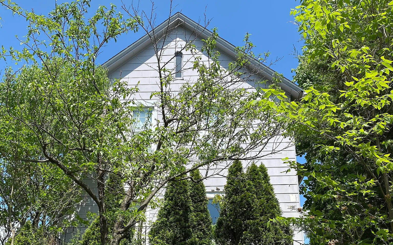 623 Morgan St photo 1