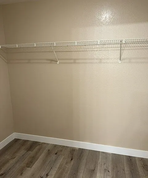 10164 Organ Pipe Ct — Photo 20